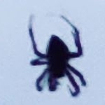 Profile Picture of walter keith hicks Jr. (@walterhicks_) on Instagram