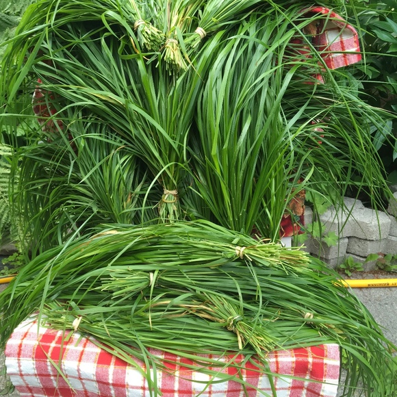 Profile Picture of Emily Keizer (@borealqueen1) on Poshmark