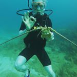 Profile Picture of John Dunster (@surreyboyo) on Instagram