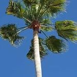 Profile Picture of Jeffrey Petherick (@petherickjj) on Instagram