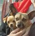 Profile Picture of Richard Kelson (@richard.kelson.3781) on Facebook