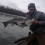 Profile Picture of Travis Chuck (@thcprofish) on Instagram