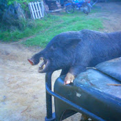 Profile Picture of Brian Symmes (@briansymmes7917) on Youtube