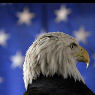 Profile Picture of Johnny Guinn (@johnny.guinn.1420) on Facebook