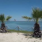 Profile Picture of Judy Henson (@judy.henson.102) on Instagram