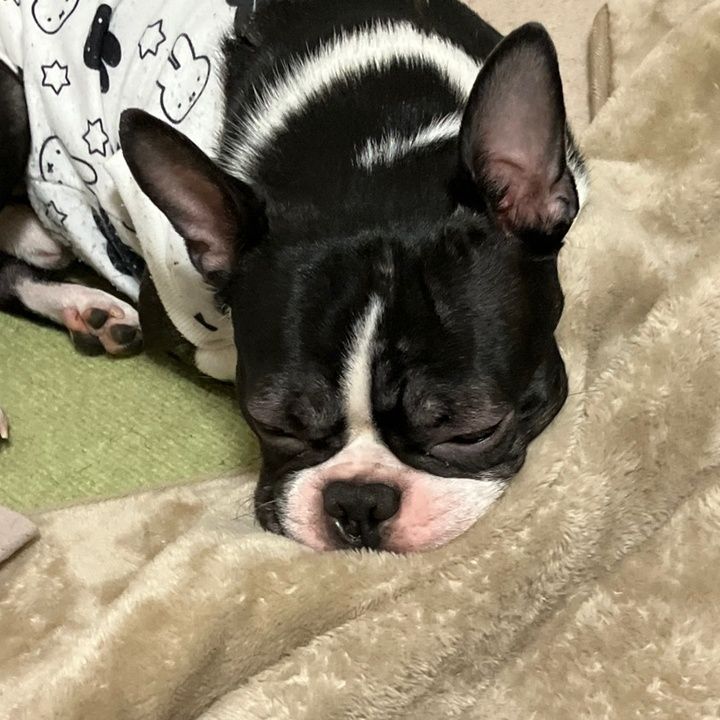 KirstenMann - Tiktok Profile Picture of KirstenMann (@kellihiyn12) on Tiktok