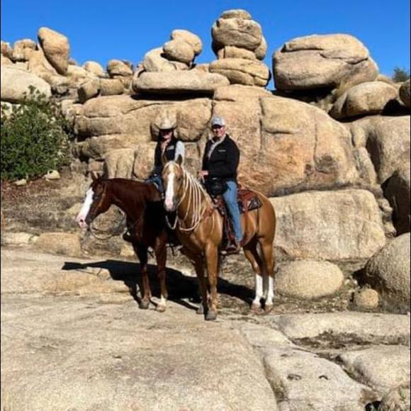 Marilyn Scheffers - Poshmark Profile Picture of Marilyn Scheffers (@imareiner) on Poshmark