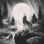 Profile Picture of Joshua Houchens (@josh_houchens_2017) on Instagram