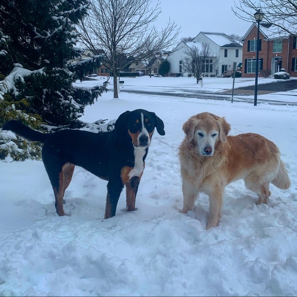 Profile Picture of Emily Heavner (@emlyhvnr1232) on Poshmark