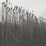 Profile Picture of Andrew Durgin (@durginandrew) on Instagram