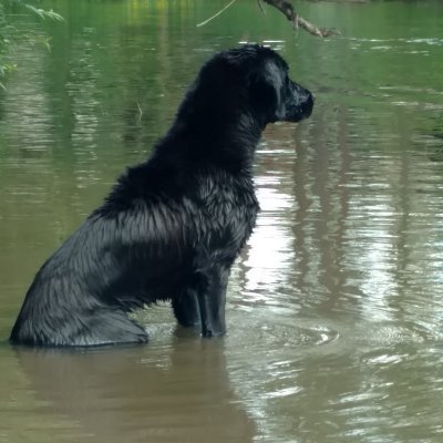 Profile Picture of Amanda Wilmes (@AmandaWilmes1) on Twitter