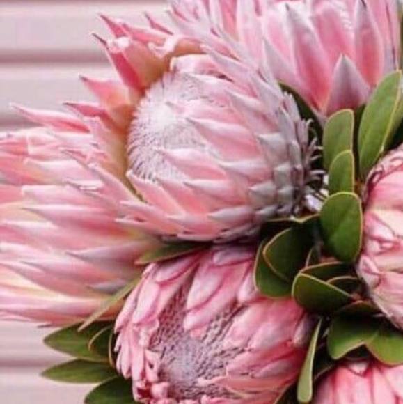 Profile Picture of Vicky Stanton-humphreys (@vickystanton536) on Poshmark