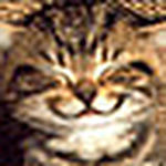 Profile Picture of Ai Chu (@nerdchu) on Flickr