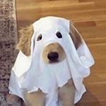 Profile Picture of Aidan Kearns (@kearnsaidan) on Instagram