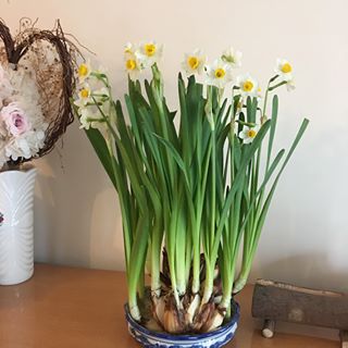 Profile Picture of Eddie Tak Fai Lai (Eddie) (@eddietakfai.lai) on Facebook