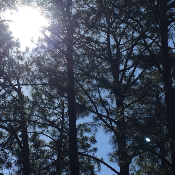 Profile Picture of Ragean Bellelo (@ragean1977) on Poshmark