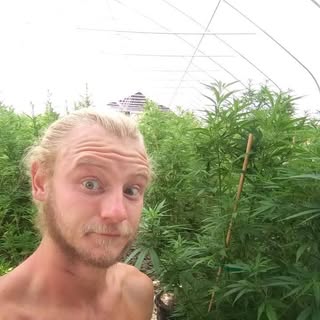 Profile Picture of Caleb Muse (@calebmuse) on Instagram