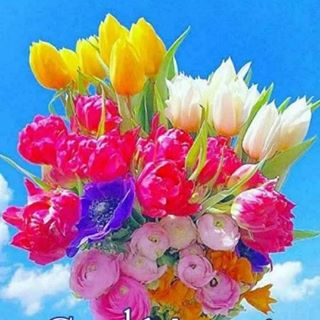 Profile Picture of Savi M (@savi.m.549) on Facebook