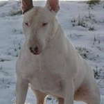 Profile Picture of Thomas Suarez (@thomassuarez89) on Instagram