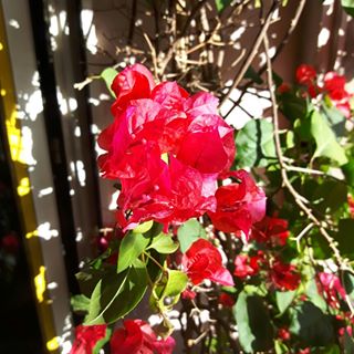 Profile Picture of Richard Pelegrin (@richard.pelegrin.1) on Facebook