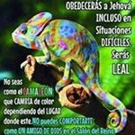 Profile Picture of Mario Manuel Alvizures Morales (@alvizuresmorales) on Instagram