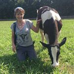 Profile Picture of Chris Dippolito (@dippolito.chris) on Instagram