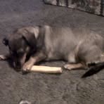 Profile Picture of Vivian Stalls (@stallsvivian) on Facebook