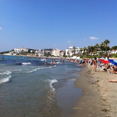 Profile Picture of Thomas Minard (@thom091106) on Twitter