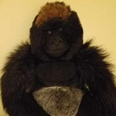 Profile Picture of Matt DeGennaro (@degennaro_matt) on Twitter