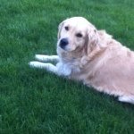 Profile Picture of Victoria Achtziger (@floppsey2002) on Instagram