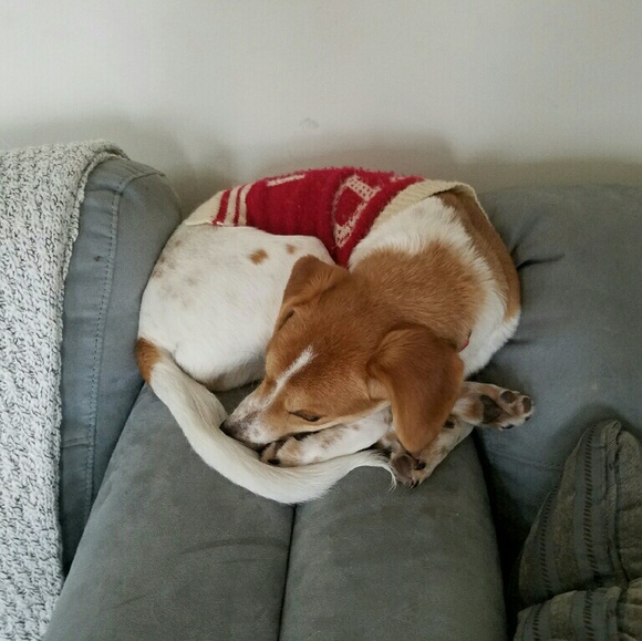 Profile Picture of D Grlica (@deegee2823) on Poshmark