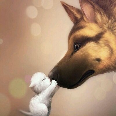 Profile Picture of Iris Dominguez Mera (@iris_mera) on Twitter