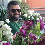 Profile Picture of Ray Brigham (@ray11687) on Instagram