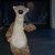 Profile Picture of george McKeever (@mckeevergeorge) on Pinterest