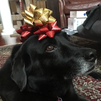 Profile Picture of Alejandro Rosales (@alejandro-rosales-31) on Quora