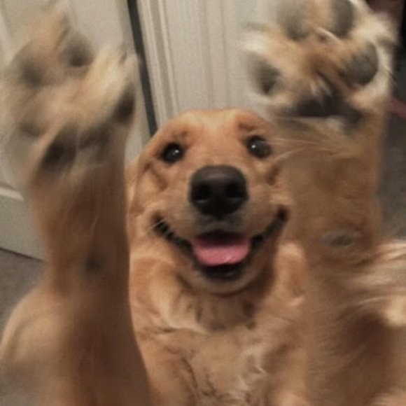 Profile Picture of Mackenzie Duffy (@mackenzieduf748) on Poshmark