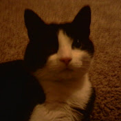 Profile Picture of Carly Ackerman (@carlyackerman8100) on Youtube