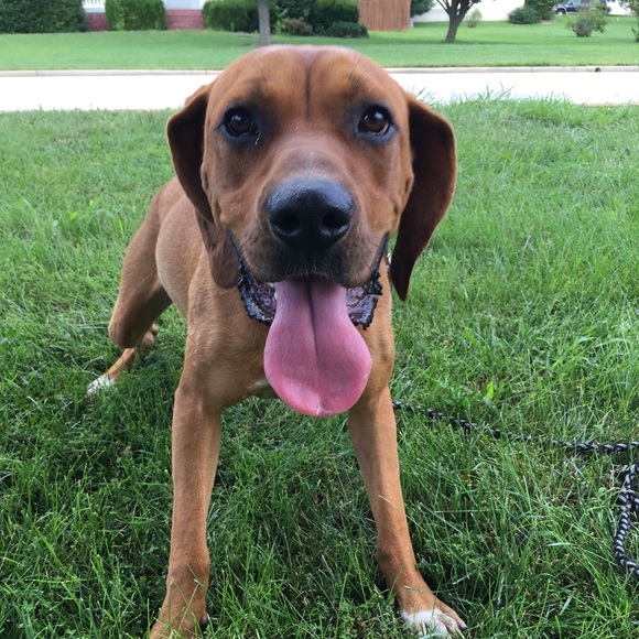 Profile Picture of Connor Huffman (@con_huffman) on Poshmark