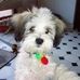 Profile Picture of Anne Lear (@anne.lear.98) on Facebook