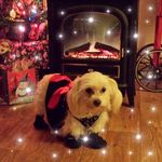 Profile Picture of CRYSTAL MCCOWN (@crystal.mccown.5243) on Instagram