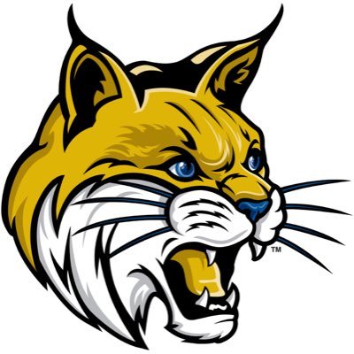 Profile Picture of Dorian  🐻 (@BobCaats) on Twitter