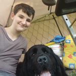 Profile Picture of Ellis (@cheezybacon240) on Instagram