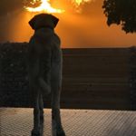 Profile Picture of Robert Hanisch (@roberthanisch) on Instagram