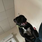 Profile Picture of Zachary Roland (@roland.zachary.a) on Instagram