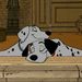 Profile Picture of Disney Girl (@tangledlover67) on Pinterest