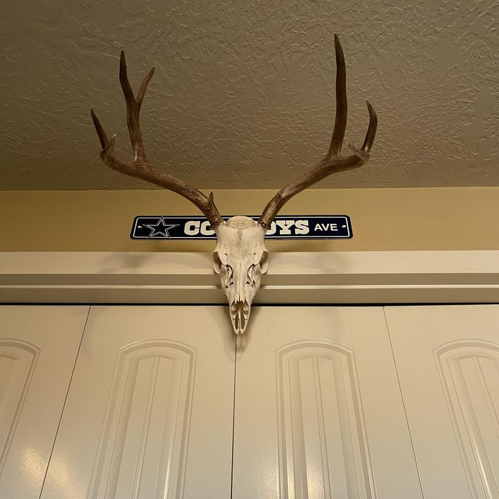 Profile Picture of John Inouye (@johninouye) on Tiktok