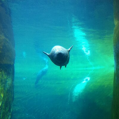 Profile Picture of CaHa Enterprise LLC (@CHEnterprise1) on Twitter