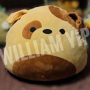 Profile Picture of Willie (@williamyip220) on Tiktok