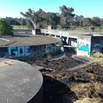 Profile Picture of tyran.mieszkuc (@tyran.mieszkuc) on Instagram