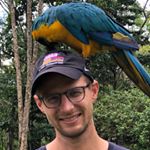 Profile Picture of Kyle Larson (@kylethepilgrim) on Instagram